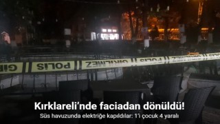 Süs havuzunda elektriğe kapıldılar