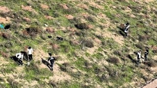 Büyükşehir’in dokunuşlarıyla Kocaeli yeşile doyuyor