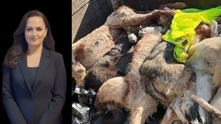 Merkez Sağ Parti Samsun İl Başkanı Kocabay'dan Vicdanları Yaralayan Olayla Sert Tepki