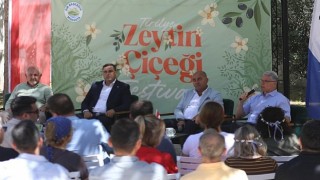 Tirilye’de “Zeytin Çiçeği Festivali”ne Büyük İlgi